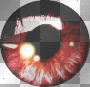 twilight red eye