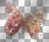 red butterfly