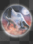  ஐ•★•ღ• Lobo   •ღ•★•ஐ   