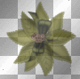 olive green leaf flower