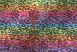 Rainbow Leopard Print