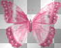 mariposa