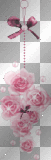 Pink Rose II