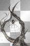 spider with web
