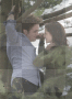 bella and edward