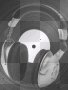 audiphones