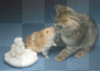 tierische Liebe