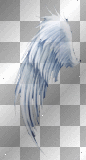 Left Blue hue Wing