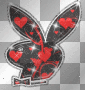 Playboy