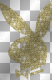 Playboy