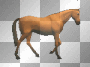 cheval 1000000