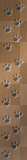 PUPPY,DOG,PAWS,ANIMAL/TFM448