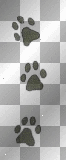 PAWS,DOG,CAT,LEFT,ANIMAL/TFM448