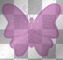 pink butterfly
