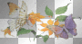  Butterfly, transparent, scrap