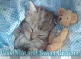 cat-good night and sweet dreams!