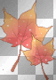 leave