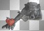 loup