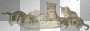 Cats drink milk