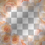 framev