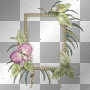 tropical frame