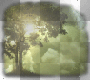 sun light thru the clouds & trees ' transparent background