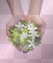 hands & flowers