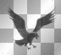 oiseau