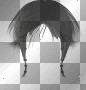 hair