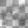 AUTUMN black&white / sw