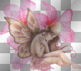 fairy 1