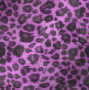purple leopard