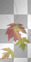 Feuille