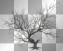 Tree Tree
