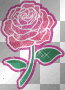 Blume