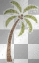 Palm Tree Right