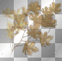 AJESIEN autumn fall transparent AJESIEN autumn fall transparent
