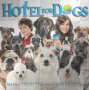 dogs