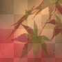 autumn bg~