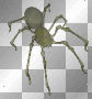 Spider:-)