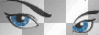 Augen