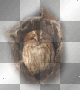 autumn owl