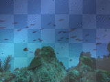 under water