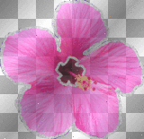 Deco Glitter hibiscus~Pink