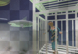 Shark Cage! Shark Cage!