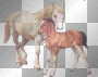 chevaux
