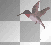 humming bird ' animated