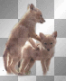 Wolfes babys-BT Wolfes babys-BT