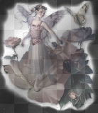 Danseuse papillon