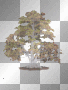 Bonsai-BT